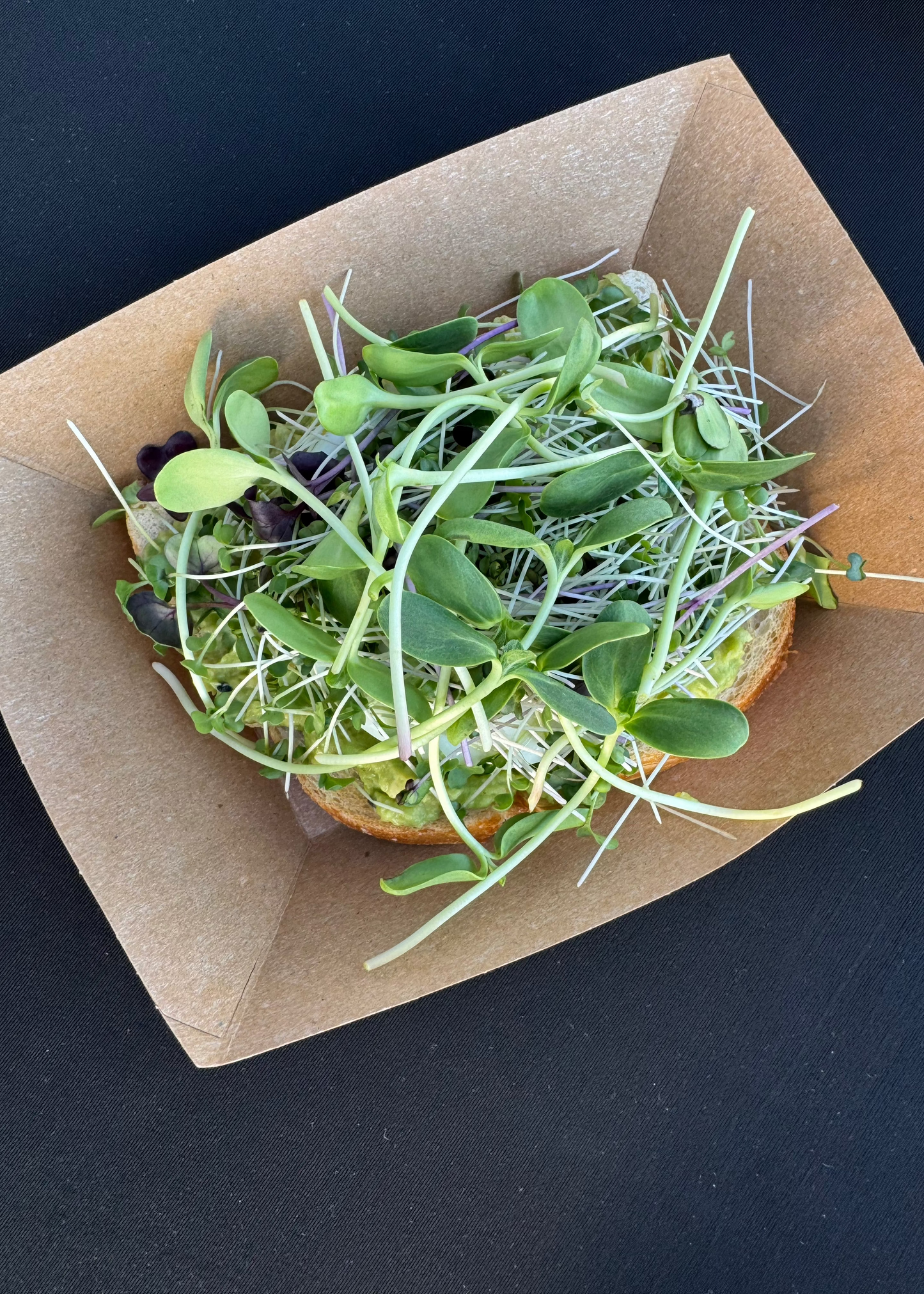 Avocado toast topped with sunflower microgreens on rustic bread, placed on a ceramic plate with natural lighting.