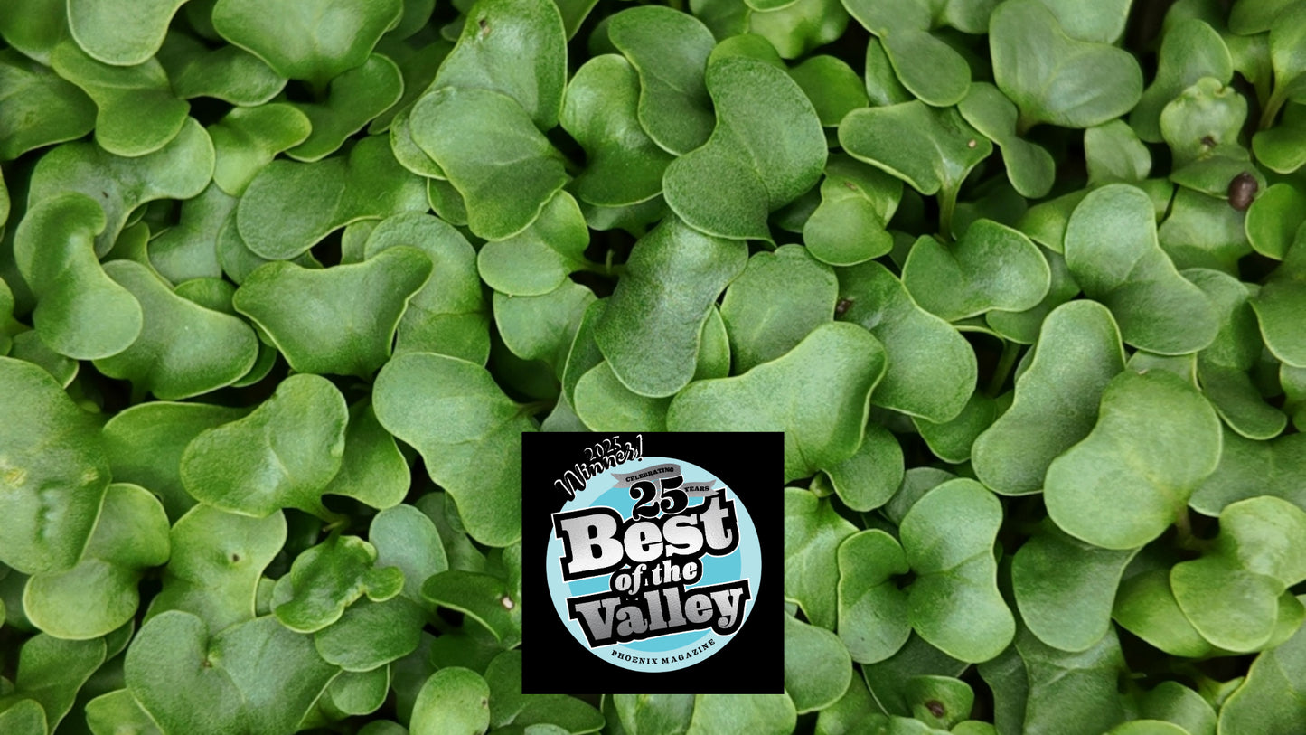 Schef's Farms wins 2025 Best of the Valley from Phoenix Magazine, logo displayed over fresh broccoli microgreens grown in Arizona.