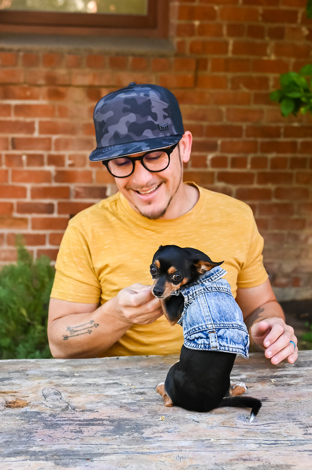 Smiling man in yellow shirt feeding a tiny black Chihuahua in a denim vest, sitting together at a rustic table with a brick wall background.